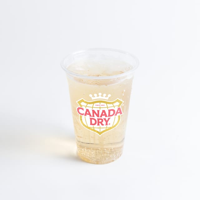 Ginger Ale 20 oz.